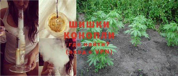 ПСИЛОЦИБИНОВЫЕ ГРИБЫ Балахна